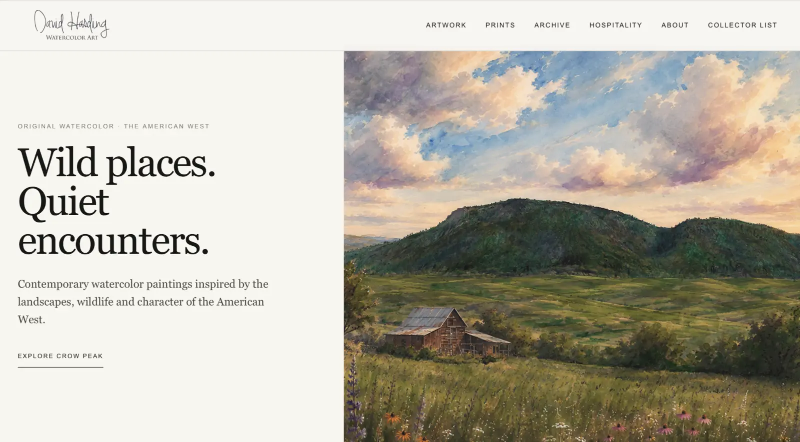 David Harding Art website homepage
